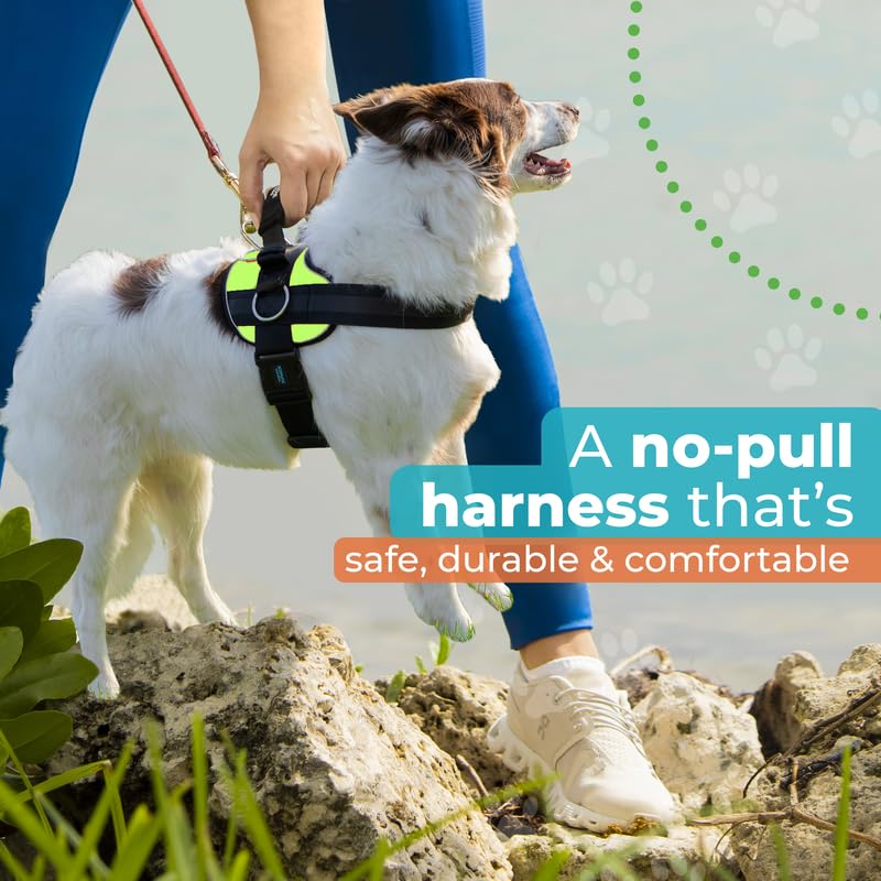 Joyride Harness 2.0 ajuste doble para talla perfecta