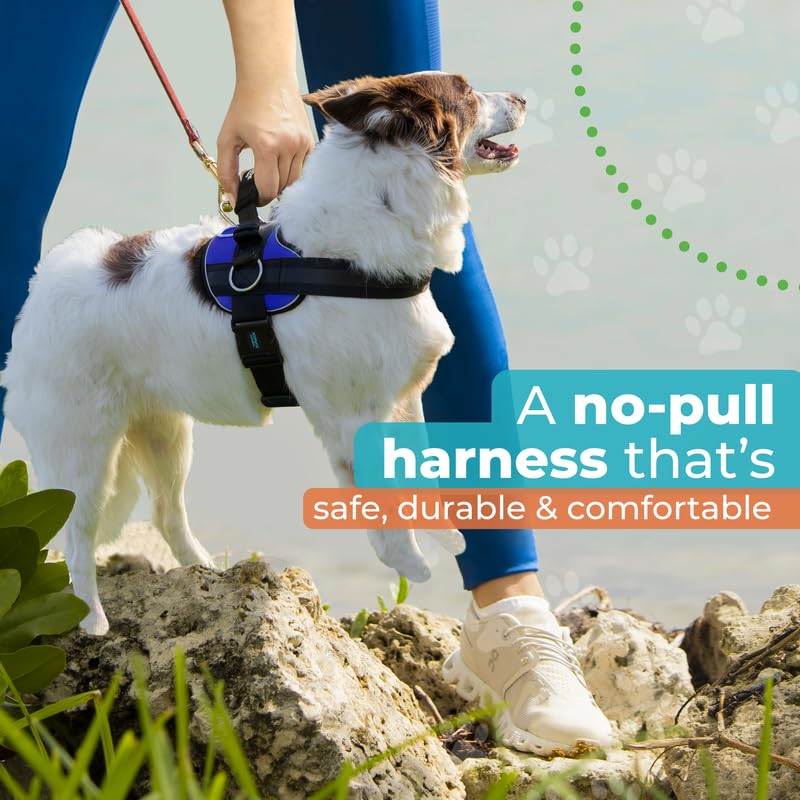 Joyride Harness 2.0: ajuste doble en dos puntos