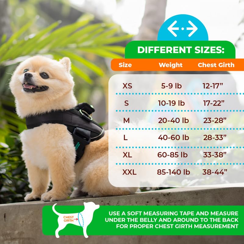 Joyride Harness 2.0 muestra ajuste dual en dos puntos para encaje personalizado.