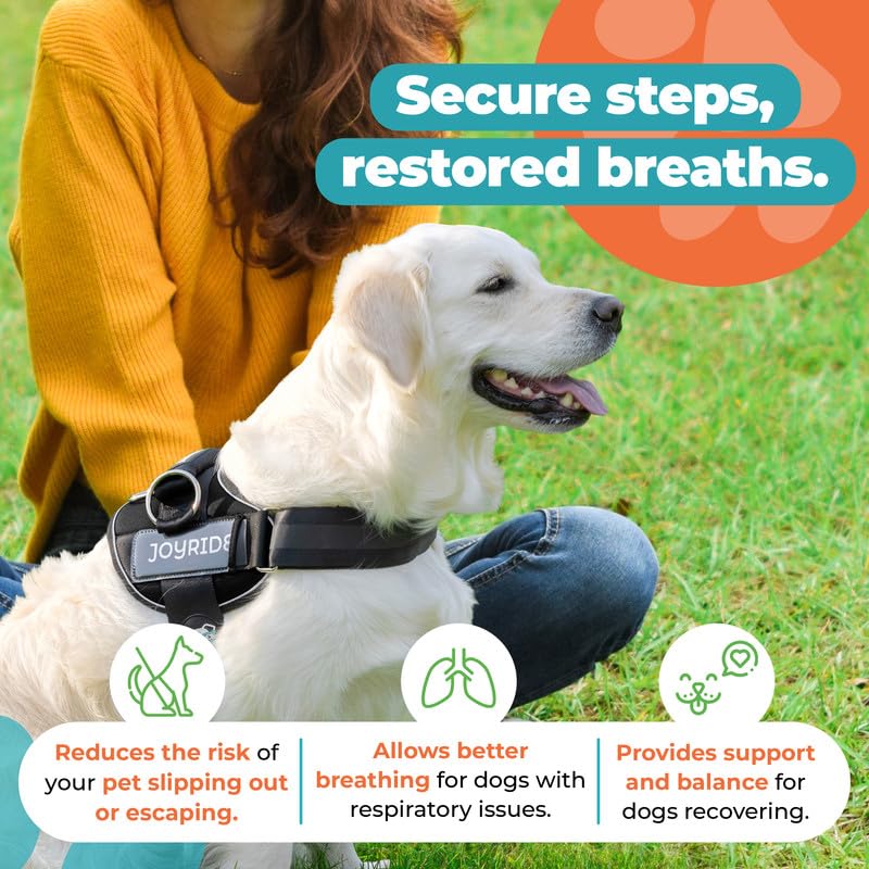 Joyride Harness 2.0: ajuste en dos puntos para mejor adaptabilidad.