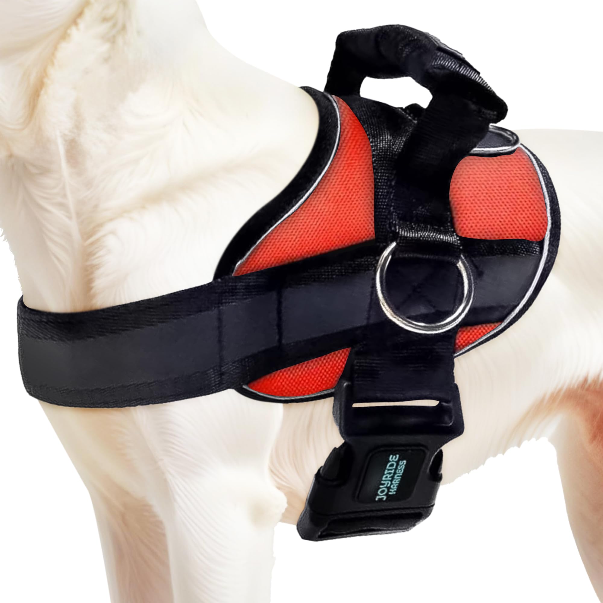 Joyride Harness 2.0 ofrece ajuste preciso para paseos cómodos y seguros