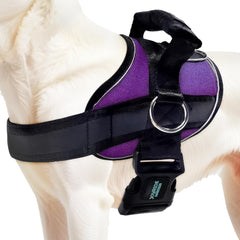 Joyride Harness 2.0: ajuste preciso para comodidad diaria del perro.