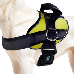 Joyride Harness 2.0 con ajuste rápido para paseos cómodos y seguros