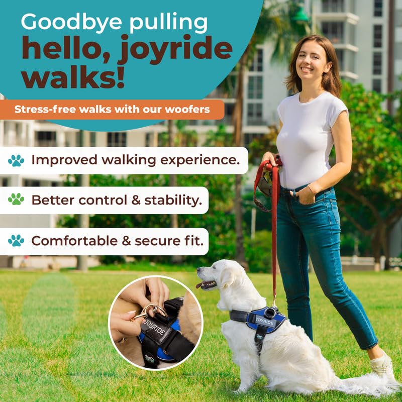Joyride Harness 2.0: ajuste rápido y fácil de poner