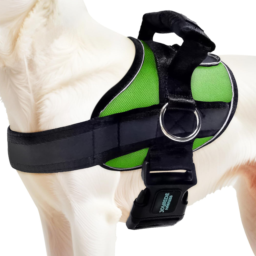 Joyride Harness 2.0, aro lateral visible para paseos sin tirones y control