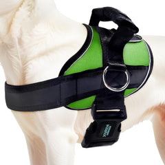 Joyride Harness 2.0, aro lateral visible para paseos sin tirones y control