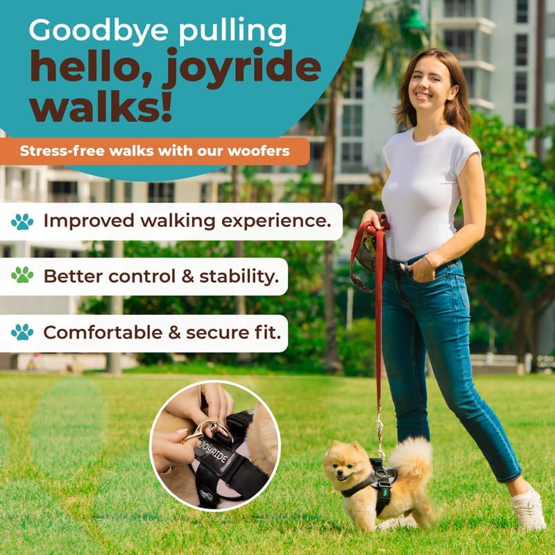 Joyride Harness 2.0 incluye asa de seguridad para control rápido.