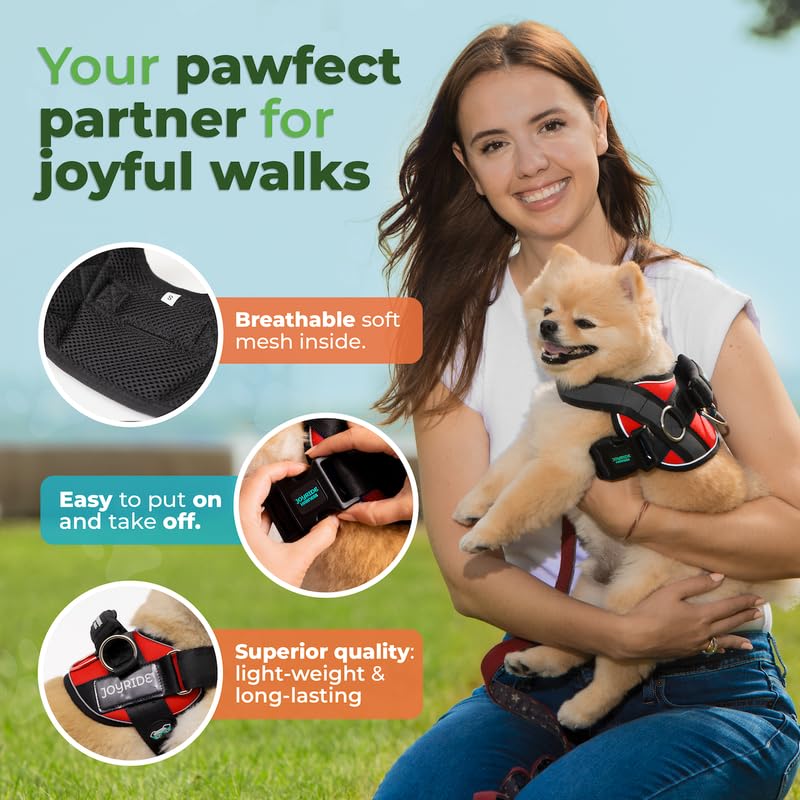 Joyride Harness 2.0 asa de seguridad de emergencia añade control rápido si es necesario.