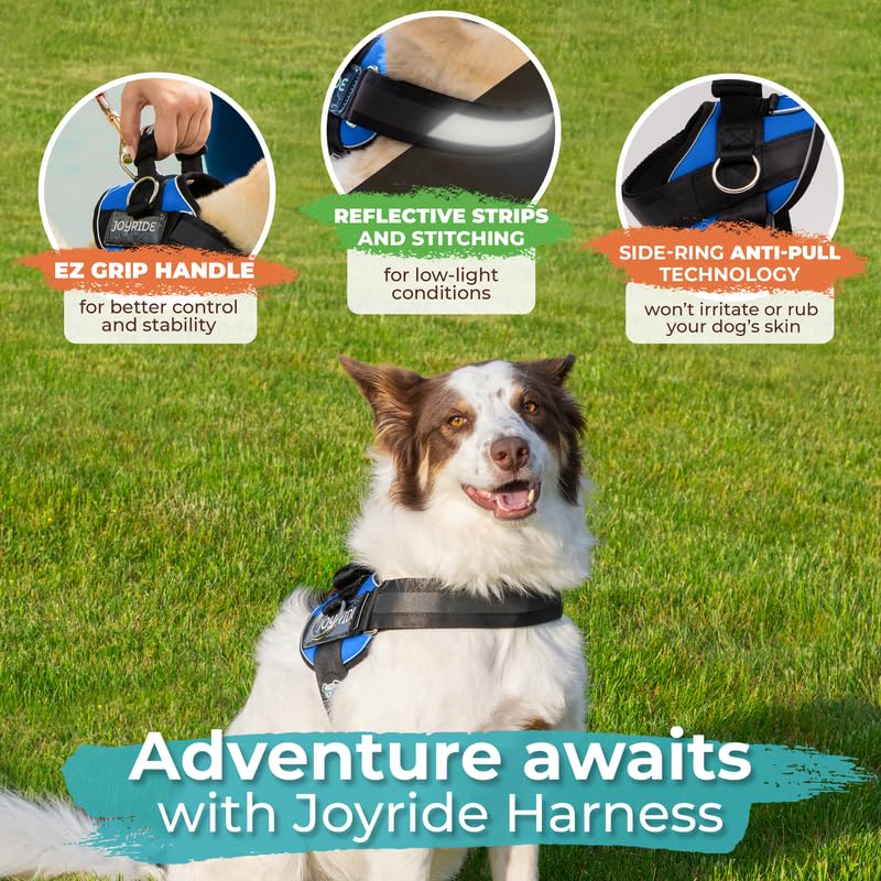 Joyride Harness 2.0 correas reflectivas para mayor visibilidad nocturna.