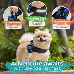 Diseño reflectante del Joyride Harness para mayor visibilidad nocturna.