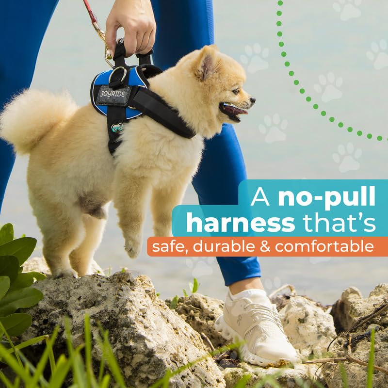 Material duradero y costuras reforzadas del Joyride Harness.