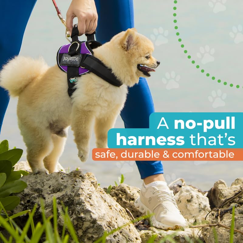 Joyride Harness 2.0 etiquetas personalizables para nombre y seguridad.