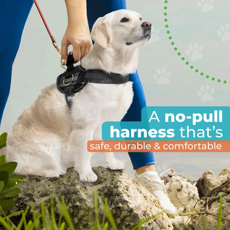 Joyride Harness 2.0: etiquetas personalizables para identificación.