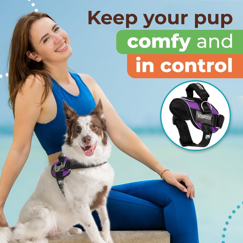 Joyride Harness 2.0: etiquetas personalizables para identificar a tu perro.