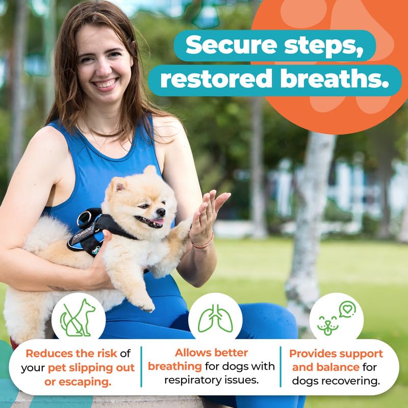 Etiquetas personalizables en Joyride Harness para identificar al perro.