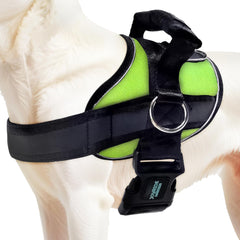 Joyride Harness 2.0 muestra la guía de tallas para un ajuste cómodo