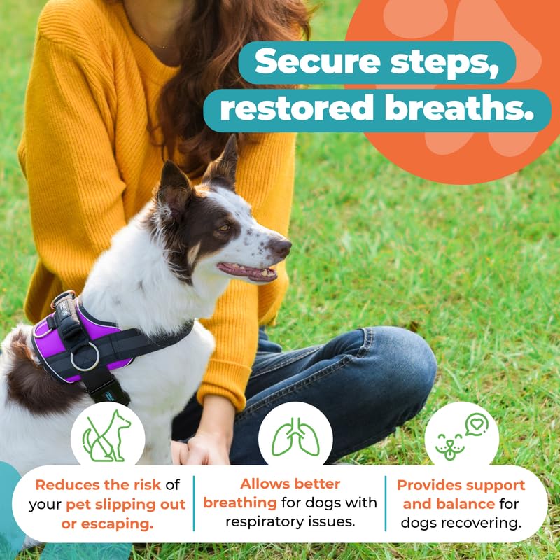Joyride Harness 2.0: mango de emergencia para control rápido.