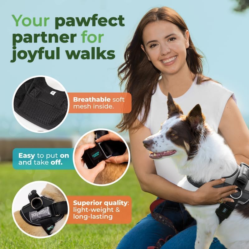 Joyride Harness 2.0 con mango ergonómico para manejo seguro