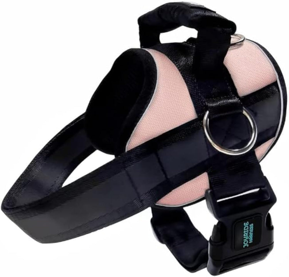 Joyride Harness 2.0: manija de seguridad de emergencia para control inmediato.