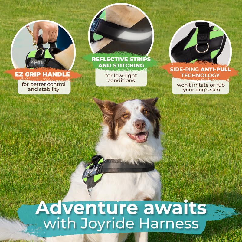 Joyride Harness 2.0 compatible con todas las razas