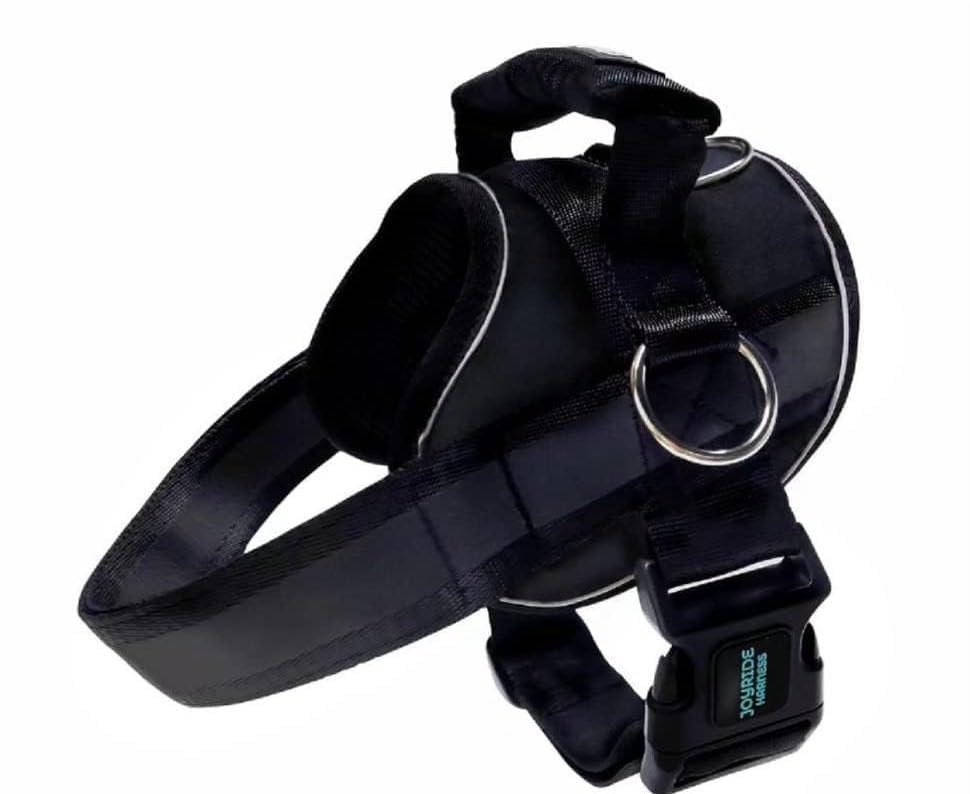 Joyride Harness 2.0 costuras reflectantes mejorando la visibilidad nocturna.