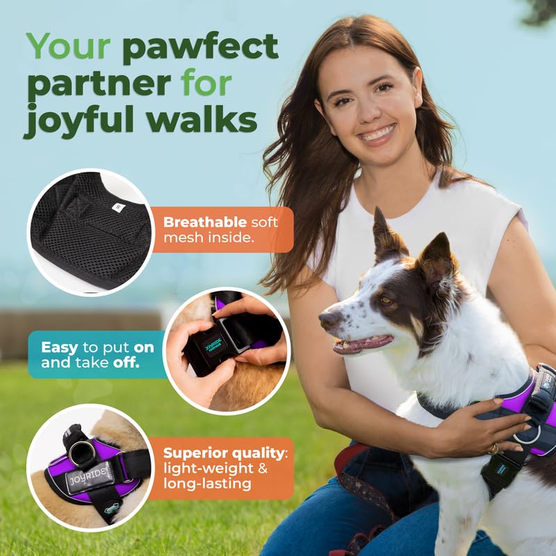 Joyride Harness 2.0: material reflectante para visibilidad nocturna.
