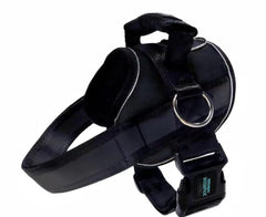 Joyride Harness 2.0 costuras reflectantes mejorando la visibilidad nocturna.