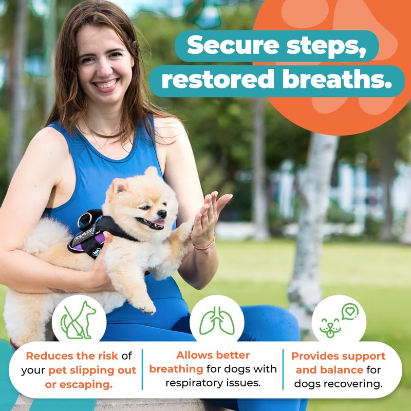 Joyride Harness 2.0 vestimenta adaptable para todas las razas.