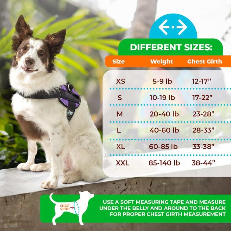 Joyride Harness 2.0: liberación de presión para paseos sin tirones.