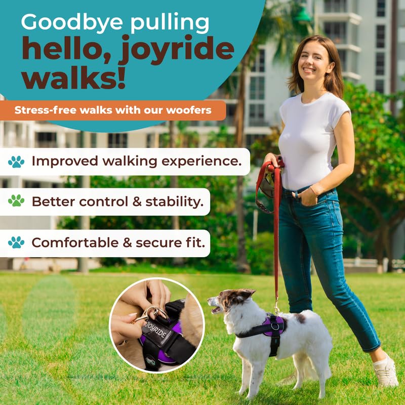 Joyride Harness 2.0: tres puntos de anclaje para mayor versatilidad.