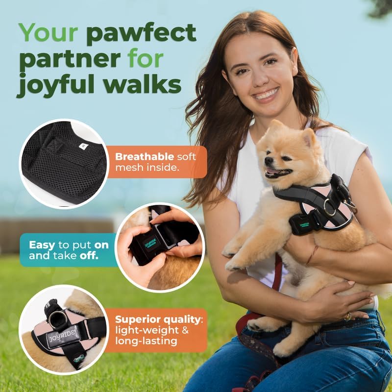 Joyride Harness 2.0 dispone de tres ganchos para mayor versatilidad.