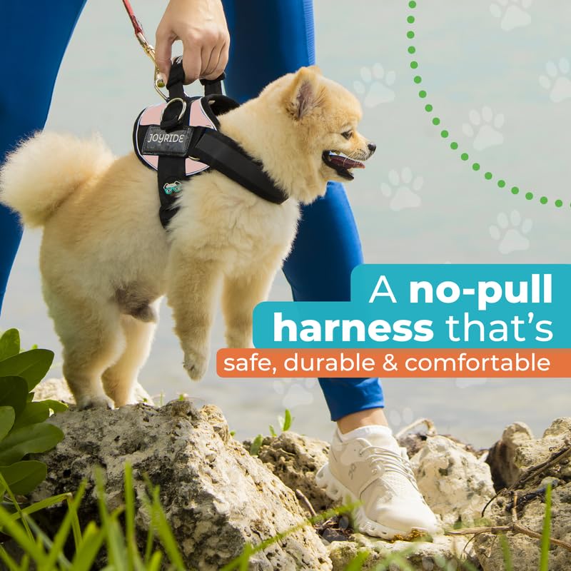Joyride Harness 2.0: ideal para uso diario y paseos largos.