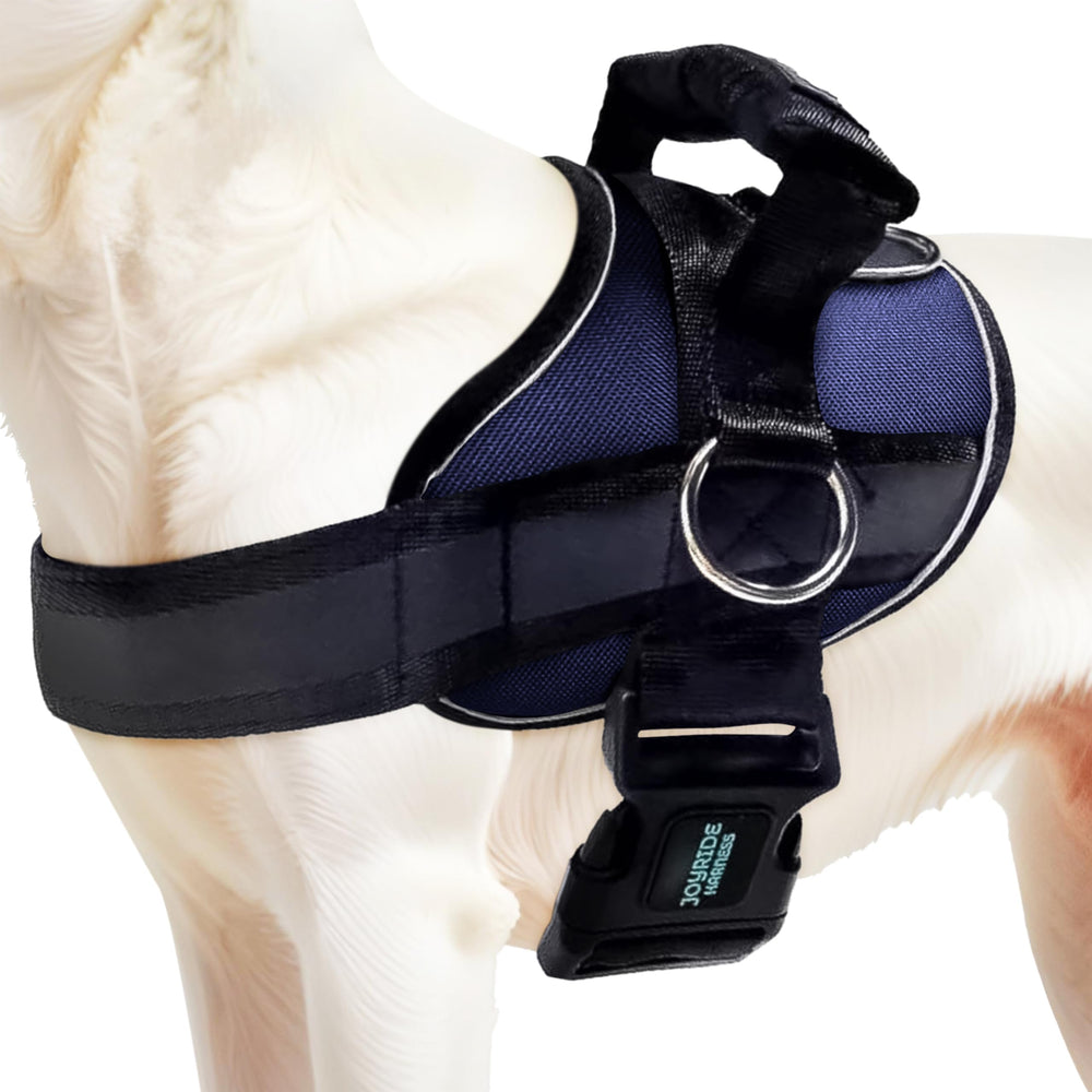 Joyride Harness 2.0 vista frontal, ajuste cómodo para caminatas sin tirones