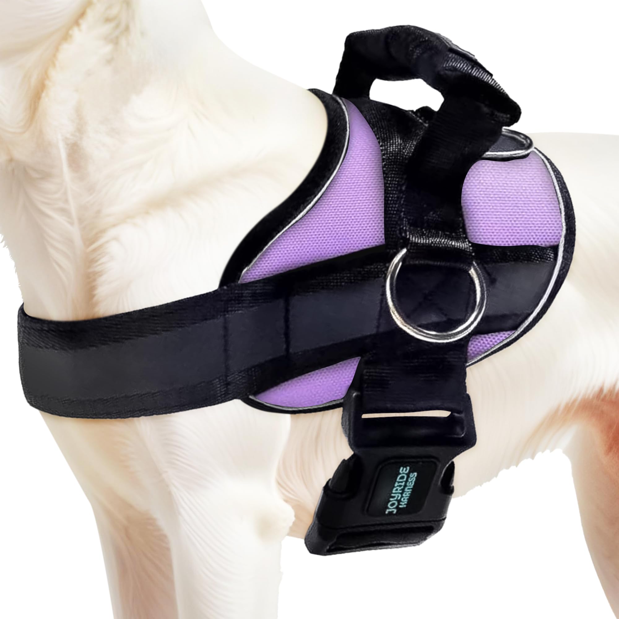 Joyride Harness con ajuste rápido para paseos cómodos y controlados.