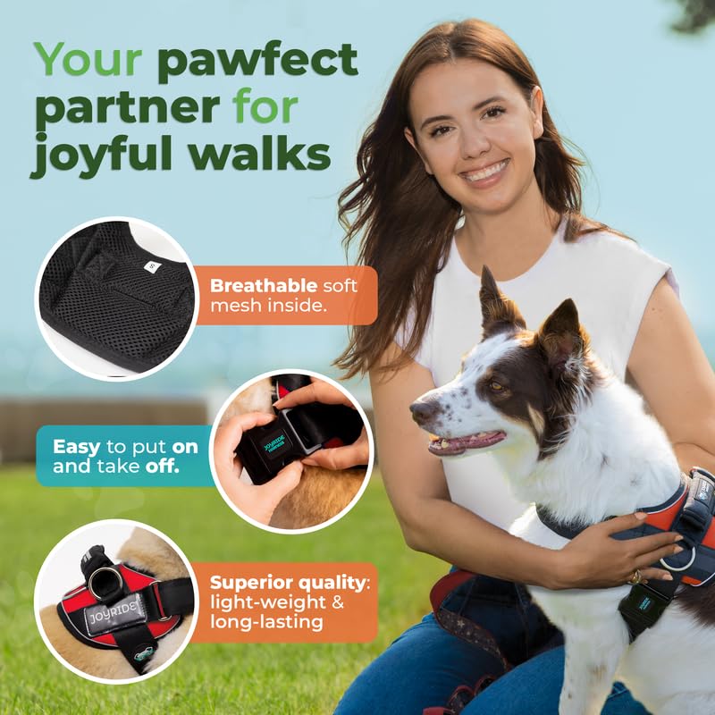 Joyride Harness diseño versátil para perros de todos los tamaños.