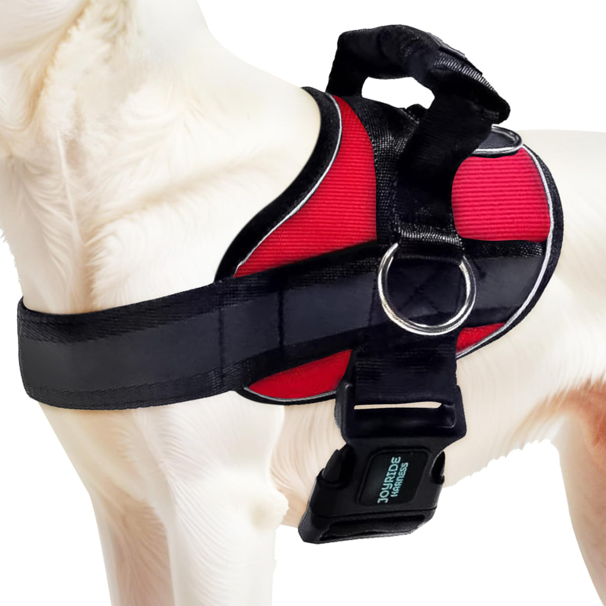 Joyride Harness demuestra la guía de tallas para un ajuste perfecto y cómodo.