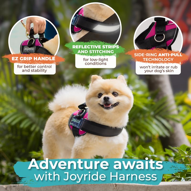 Joyride Harness adaptable para todas las razas con ajuste versátil