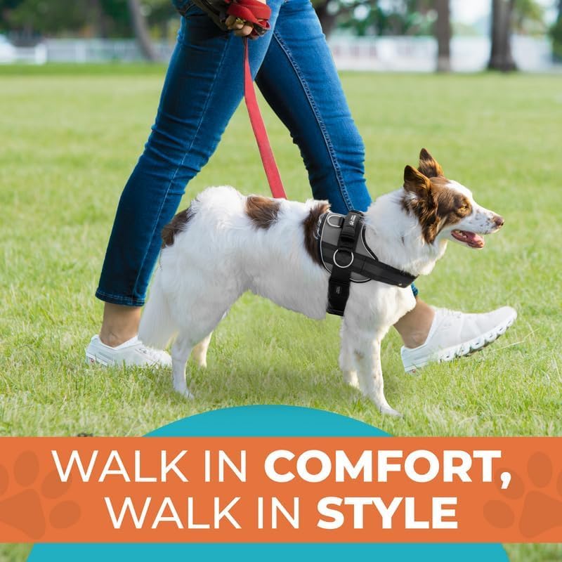 Joyride Harness talla universal para perros de todos los tamaños.
