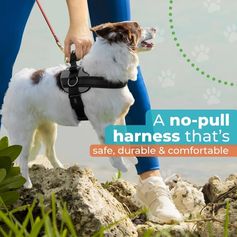 Joyride Harness tres ganchos de correa para mayor versatilidad de paseo.