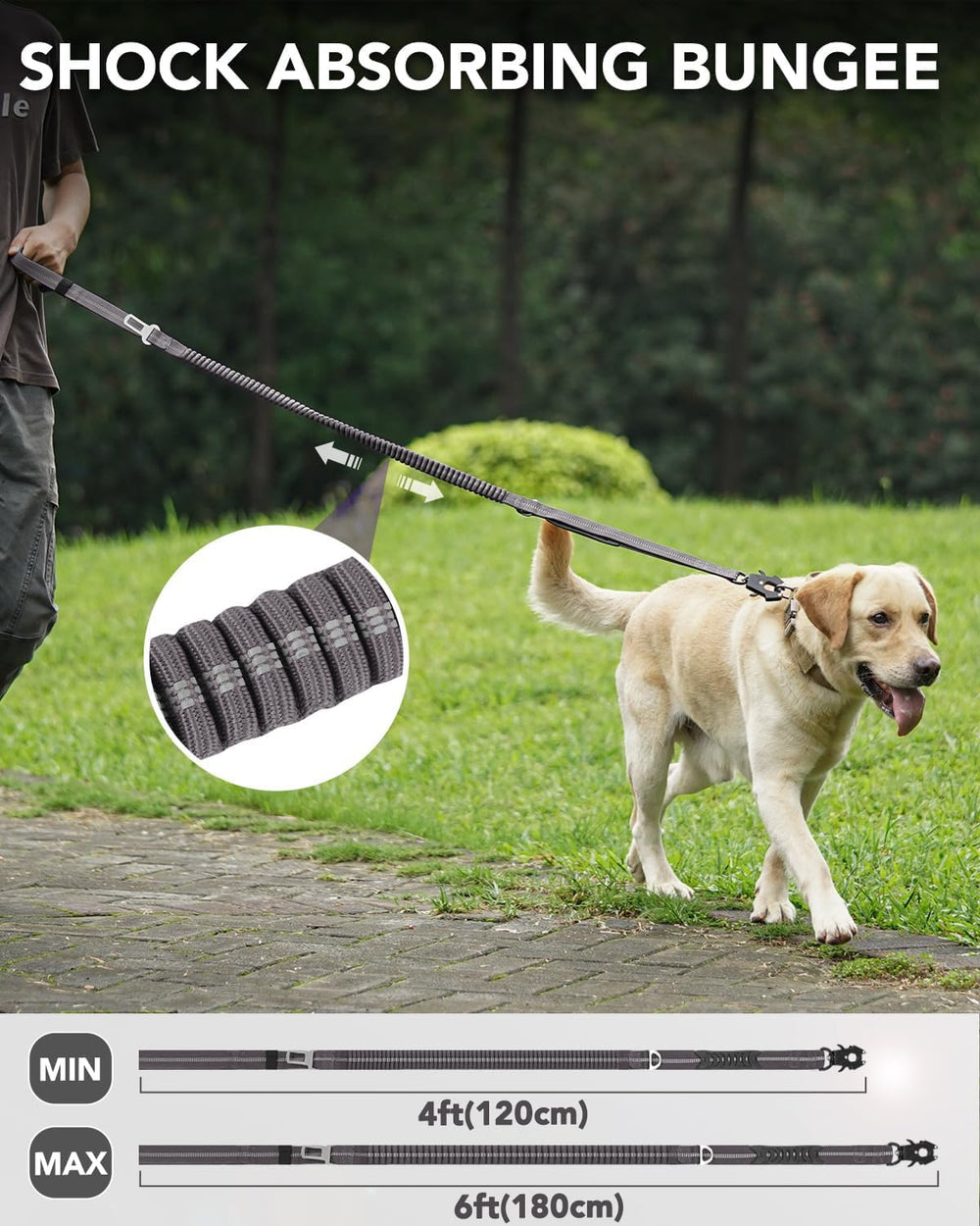Joytale amortiguación Bungee absorbe tirones para paseos más cómodos.