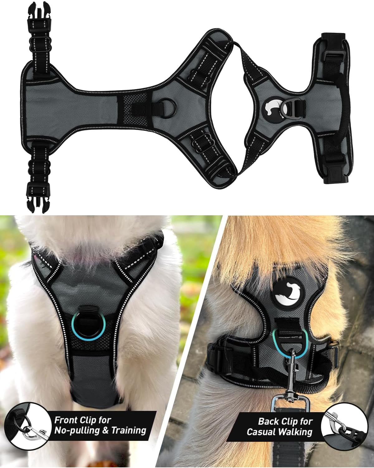 Arnés Joytale ajustable con dos hebillas para colocación rápida y cómoda
