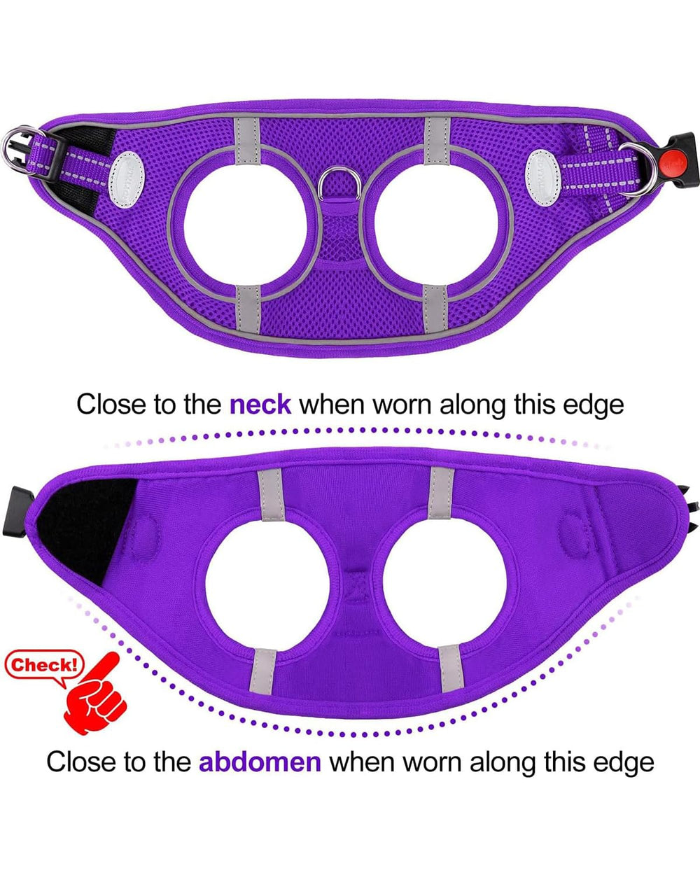 Arnés Joytale para perros pequeños, perfecto para paseos activos.