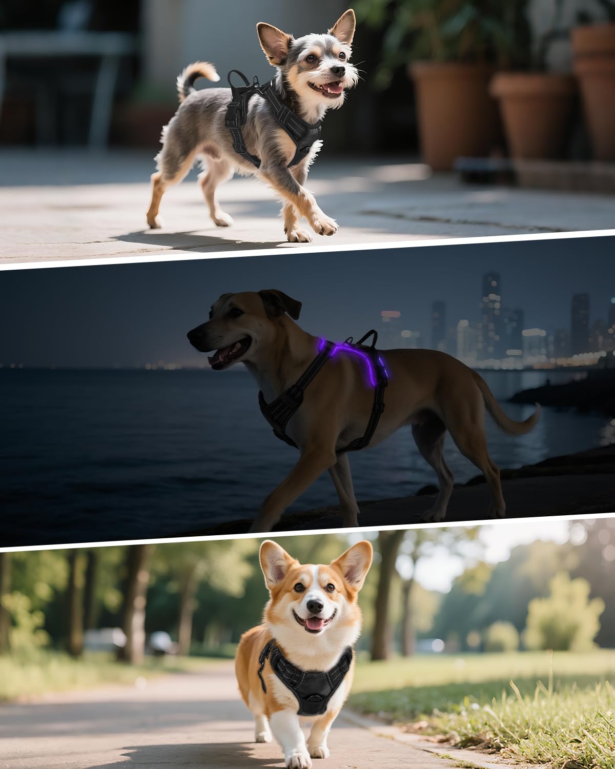 Joytale arnés acolchado y transpirable para perros medianos.