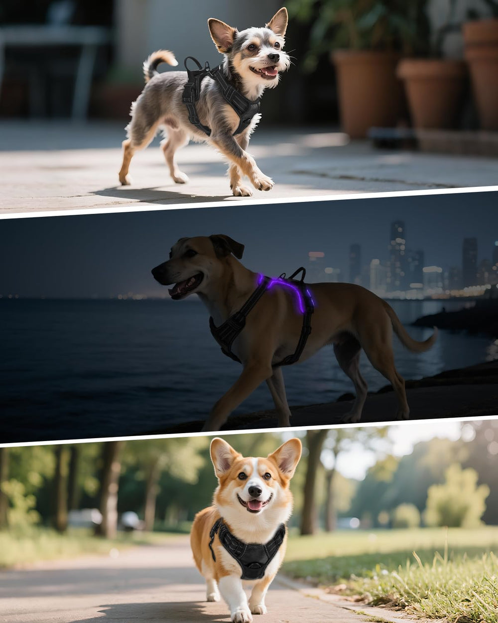 Joytale arnés acolchado y transpirable para perros medianos.