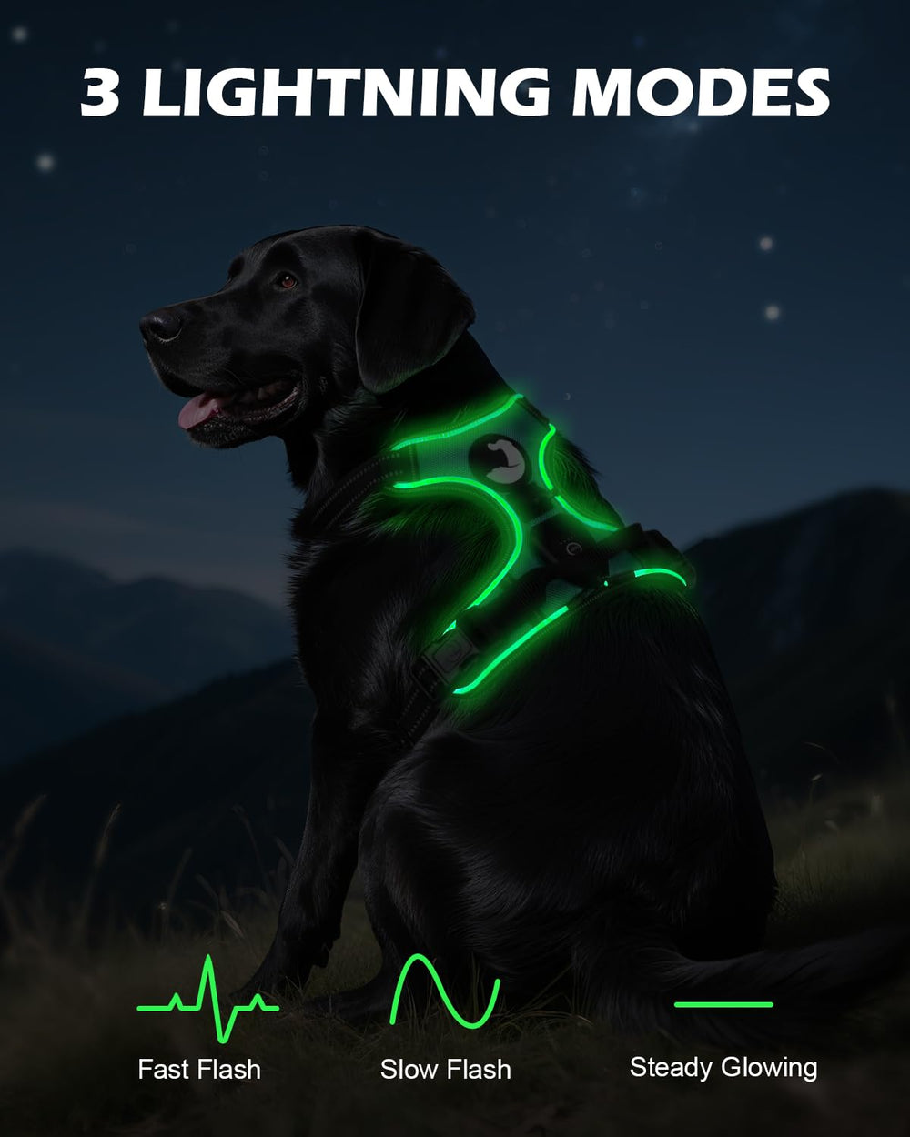 Detalle de luz de diodos y tiras reflectantes del Joytale para seguridad