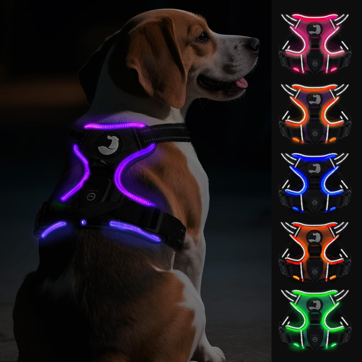 Joytale arnés para perro con luz trasera para paseos nocturnos.