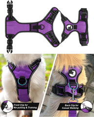Joytale arnés XL con clip trasero para caminar con sujeción tradicional.