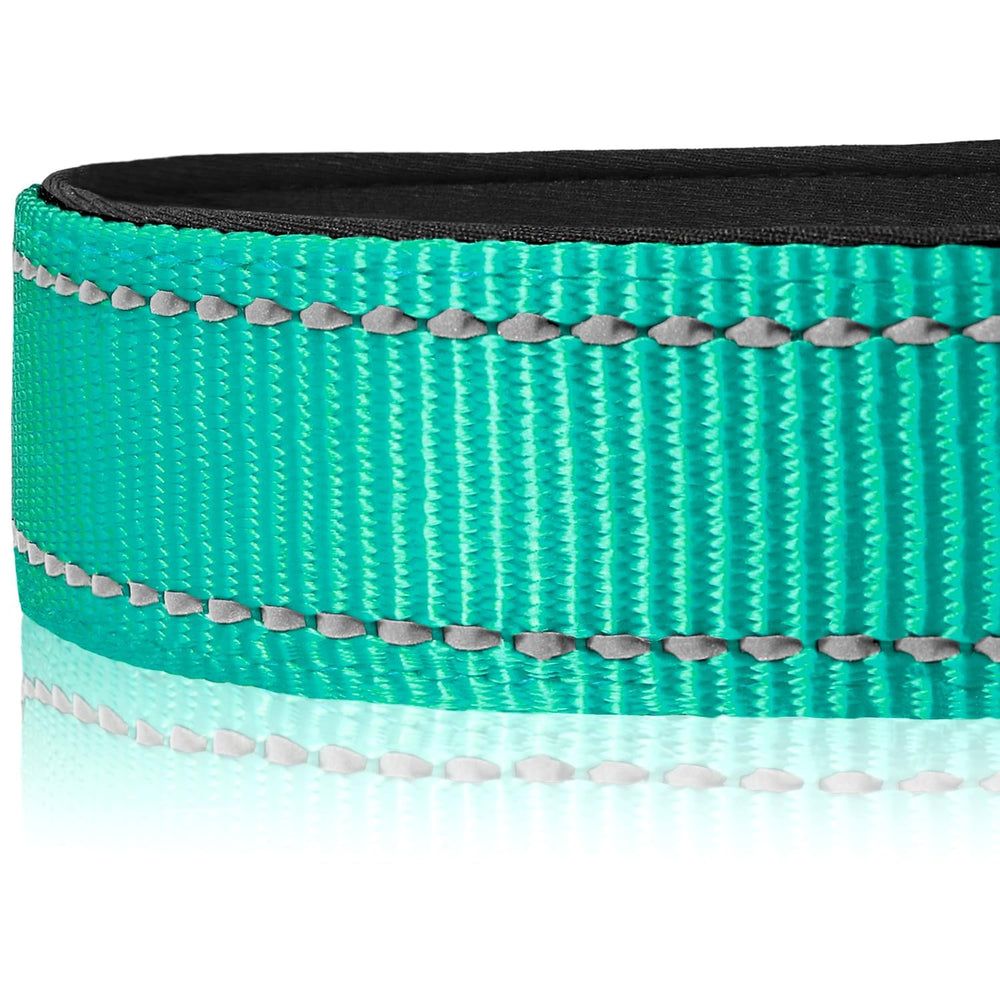 Cierre ABS para ajuste rápido en el collar Joytale.