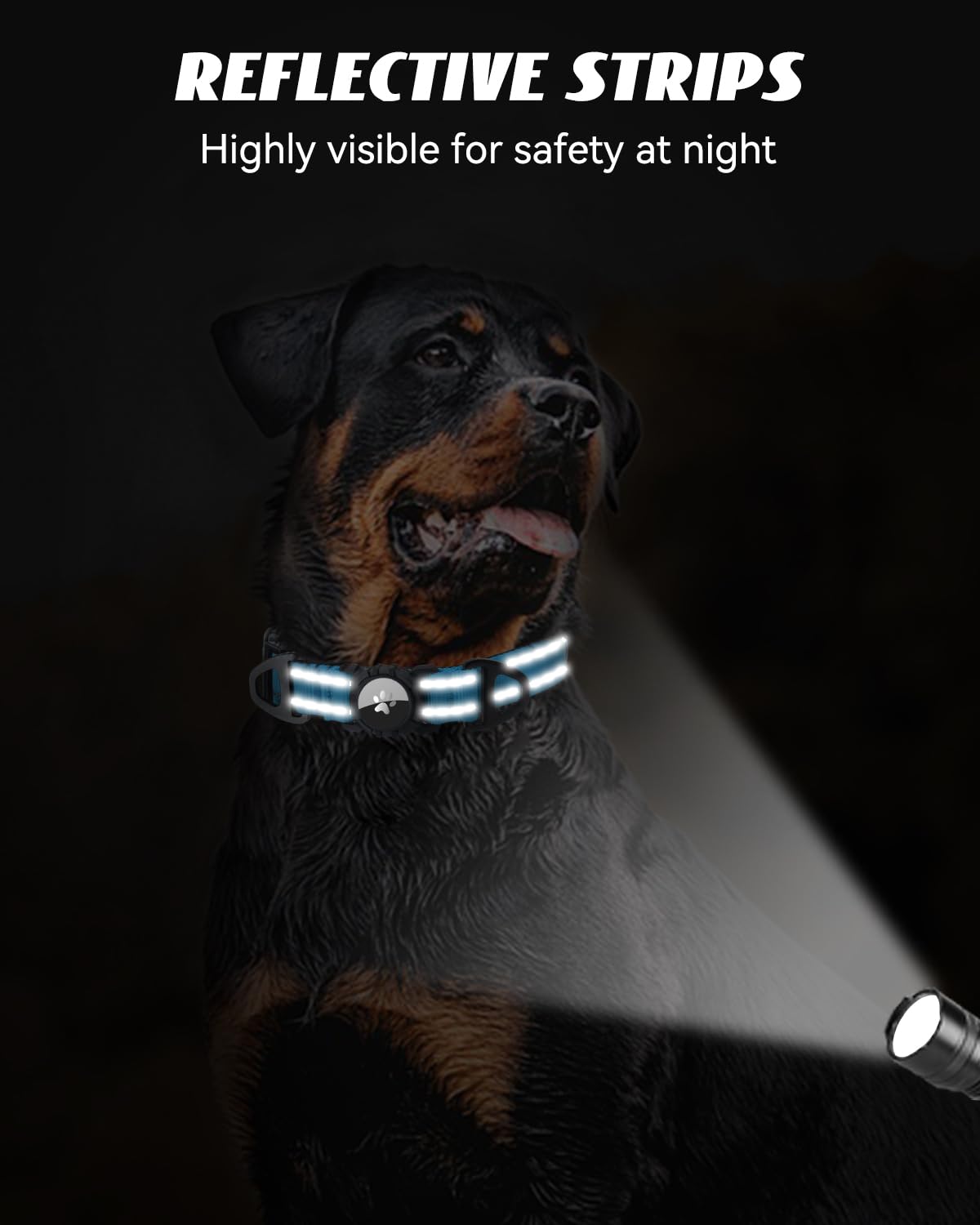 Collar Joytale resistente al agua y polvo para aventuras al aire libre