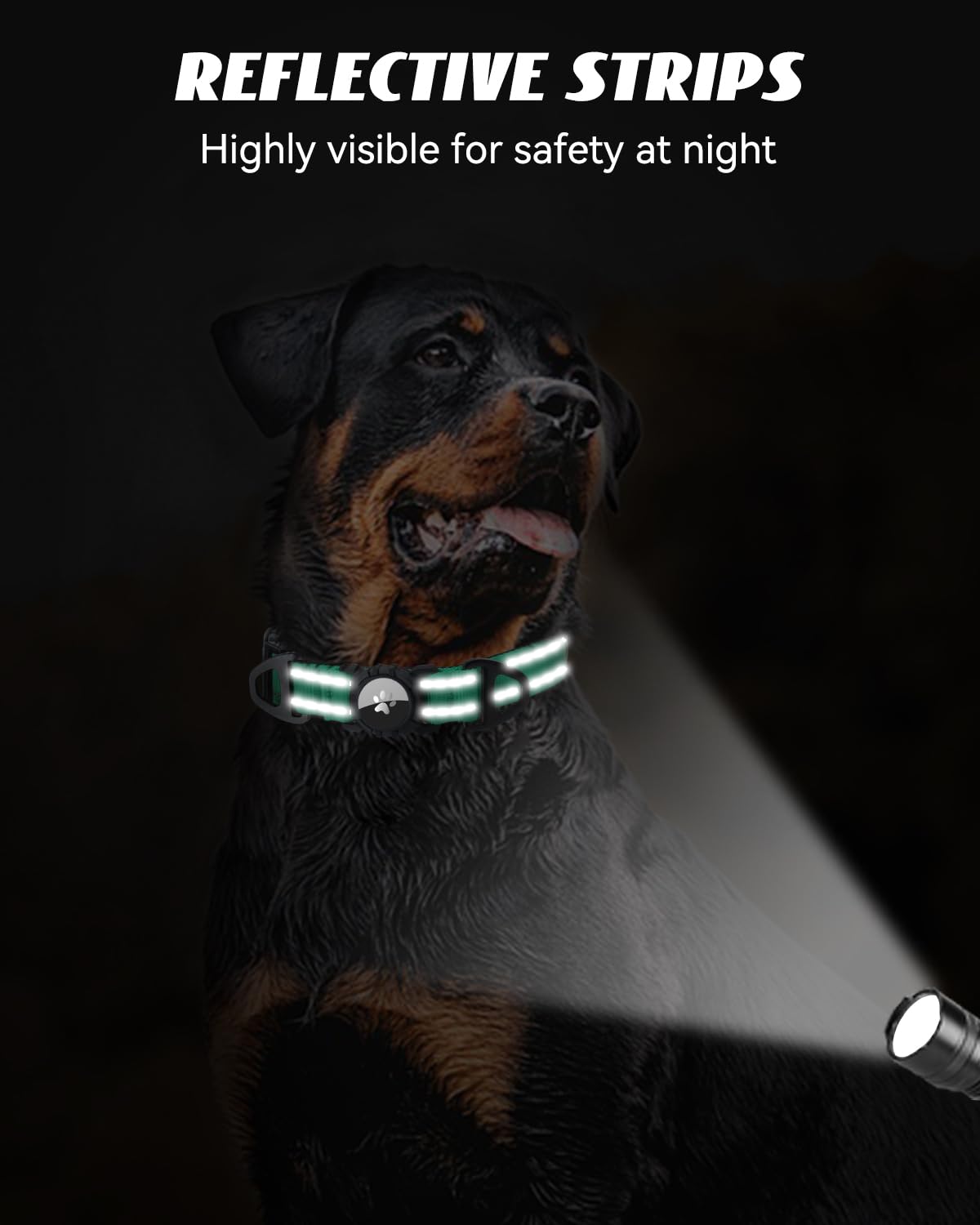 Tejido turquesa del collar Joytale para estilo y visibilidad.